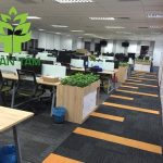 Office carpet cleaning in Ho Chi Minh city