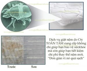 giặt nệm